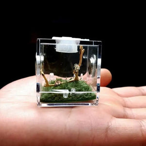 Mini Reptiles Breeding Box Clear Acrylic Cage Habitat Insect Feeding Box Terrarium Tank Escape Proof For Jumping Spider