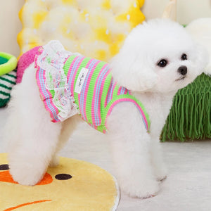 Stripped Dog Dress Clothes Summer Lace Sling Pet Cat Clothes Colorful Puppy Dog Suspender Skirt Girls Summer Apparel Dog Dresses