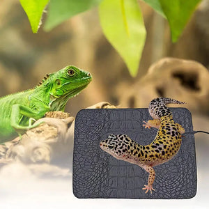 5V USB Pet Warmer Heating Pad Electric Bed Winter Warm Carpet Adjustable Temperature Controller Reptile Dog Mat Tools Two Sizes