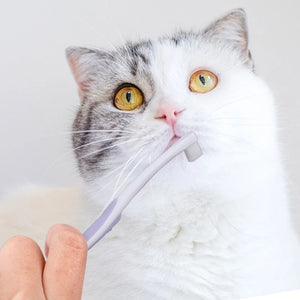 Soft Tooth Brush Small-Head Cleaning Pet Toothbrush Remove Bad Breath Tooth Brush Dog Cat Care Mouth Clean