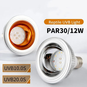 Reptile UVA+UVB Lamp Bulb Turtle Basking UV Light Bulbs Heating Lamp Lizard Bearded Dragon Terrarium Temperature Controller