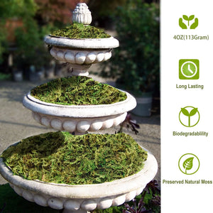 Fake Moss Artificial Fresh Green Moss Coco Coir for Wedding Centerpieces Garden Terrariums Decoration