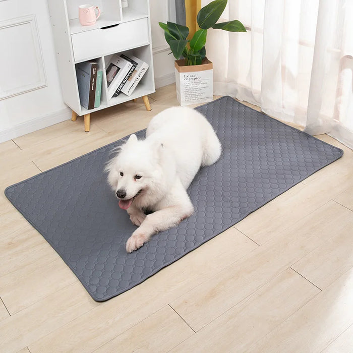 Reusable Dog Pee Pad Blanket Absorbent Diaper Washable Puppy Training Pad Pet Bed Urine Mat for Pet Car Seat Cover Pet Supplies