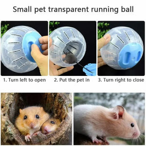 Pet Running Ball Plastic Grounder Jogging Hamster Pet Small Exercise Toy Hamster Accessories  Pet Small Exercise Toy Dropship