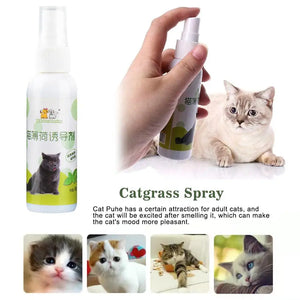 50ml Natural Health Safety Cat Mint Inducer Mint Spray Fresh Toy Spray Cat Training Inducer Cat Breathing Products P4Z9