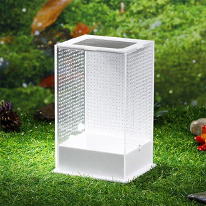 Reptile Feeding Box Plastic Terrarium Clear Containers for Spiders Lizards Frogs Mantises Portable Small Pet Habitat S/L