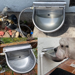 1 Set Automatic Cow Bowl Stainless Water Feeder Pipe Cow Float Horse Goat Dog Cattle Sheep Water Bowl for Livestock