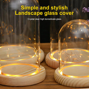 Glass Dome Wooden Base With LED Light Birthday Gift Bedroom Decor Glass Cover Landscape Vase Terrarium Container Flower Holder