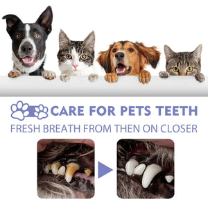 Pet Teeth Cleaning Spray Dog Cat Teeth Calculus Stain Remover Deodorant Kitten Halitosis Bad Breath Treatment Pet Oral Care Tool