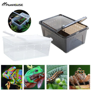 1pc Terrarium for Reptiles Spider Transparent Plastic Feeding Box Insect Lizard Beetle Transport Breeding Food Rearing Container