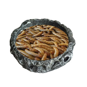 Reptile Bowls Terrarium Feeding Worm Dish Reptile Mealworm Feeder Dish Resin Bowl for Frog Gecko Snake Spiders Turtles