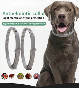 Dog Anti Flea And Ticks Cats Collar Pet 8Month Protection Retractable Pet Collars For Puppy Cat Large Dogs Accessories