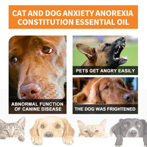 Natural Organic Calming Drops Pet Anxiety Relief Blend Essential Oil For Dogs Cats Create An Anxiety-Free Experience Skin Health