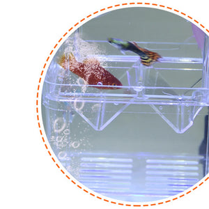 3 Sizes Double-layer Clear Fish Breeding Isolation Box Aquarium Fish Tank Hatching Incubator Fish House Wholesale