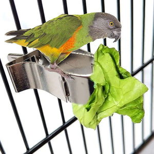 1Pcs Birds Food Holder Pet Parrot Feeding Fruit Vegtable Clip Feeder Device Pin Clamp Durable Household Supplies