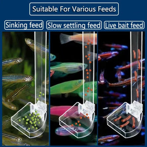 1Set Acrylic Aquarium Feeder Tube Dish Transparent Fish Tank Shrimp Snail Shrimp Food Feeder Bowl Aquarium Feeding Accessories