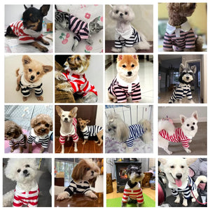 Summer Dog Polo Shirt Pet Dog Cooling Clothes Striped Sweatshirt Chihuahua Puppy Pullover Dog Vest for Small Medium Dogs Costume