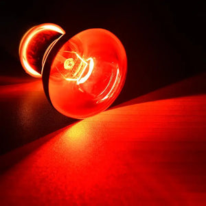 LED Red Reptile Night Light UVA Infrared Heat Lamp Bulb for Snake LizardReptile reptile accessories habitat decorations ceramic