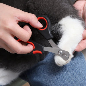 1PC Pet Nail Scissors Dog Cat Nail Claw Grooming Scissors Pet Nails Clipper Trimmer Supplies For Dog Cat Bird Rabbit Pet Gargets