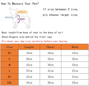 Pet Dog Jeans Jacket Denim Coats Holes Design Cat Puppy Vest Spring/Summer Apparel 3 Colors