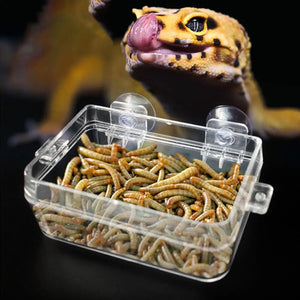 Reptile Transparent Feeder Anti-escape Food Bowl Worm Live Container With Strong Suction Cups Pet Supplies