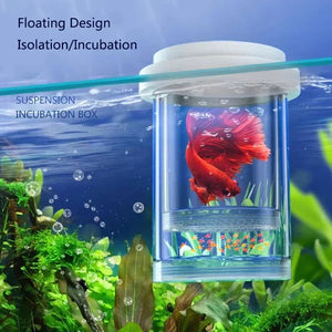 Plastic Floating Fish Breeding Isolation Box Aquarium Breeder Feeder Fish Tank Hatching Incubator Aquarium Hatchery Accessory