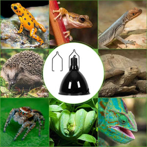 4Pcs Reptile Lamp Clip Metal Heat Lamp Hanger Holder for Reptile Glass Terrariums Heating Light for Frog Bearded Dragon