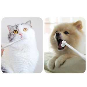 PuppyToothbrush Cats Toothbrush- Pet Toothbrush- Dogs Toothbrush- Dogs  Hygienes Dogs Teeth Cleaning Dogs  Care