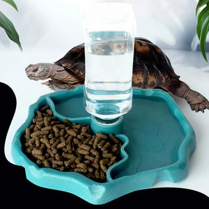 Plastic BPA Free Lizard Automatic Drinking Fountain Water Holder Reptile Water Feeder for Turtle Bearded Dragon