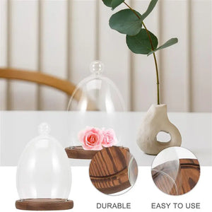 Flower Glass Cover Terrarium Decor Micro Landscape Glass Dome Preserved Flower Glass Bell Jar Wooden Clear Glass Display Dome