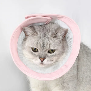 Pet Cat Dogs Health Recovery Elizabethan Cotton Filling Collar Protective Medical Cone E- Collar for Dog and Cat