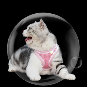 Escape Proof Cat Harness and Leash Set Adjustable Mesh Dog Harness Vest Puppy Pet Walking Lead Leash Small Dogs Cats Kitten XXS