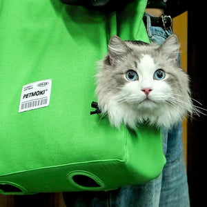 Soft Pet Carriers Can Walk Design Portable Breathable Bag Cat Dog Carrier Bags Outgoing Travel Pets Handbag Carrying Bags