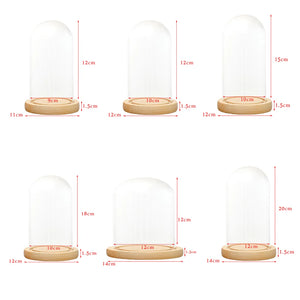 Tabletop Display Glass Cover Terrarium Container Decor Dry Flower Ornaments Craft Bell Jar Wood Base with Feet LED Light Holder