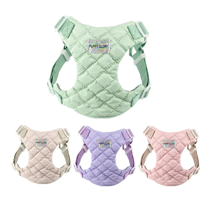 Dog Vest Harness Waterproof Breathable Pet Anti-breakaway Outdoor Walking Portable Vest Chest Back for Small Medium Large Dogs