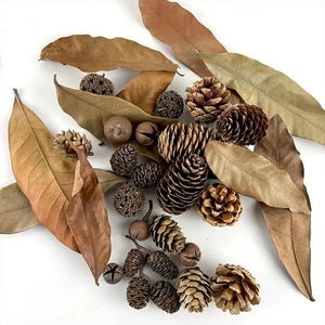 Aquarium Alder Cones Anti-Bacterial PH Minus Water Treatment Fish Shrimp Tank Aquarium For Fish Tank Pond and Aquarium