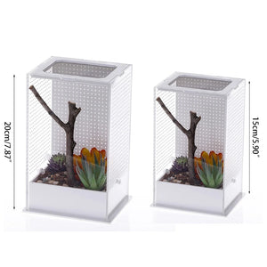 Reptile Feeding Box Plastic Terrarium Clear Containers for Spiders Lizards Frogs Mantises Portable Small Pet Habitat S/L