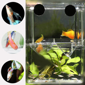 Aquarium Fish Breeder Box High Clear Double Hatching Incubator Hatchery Isolator Breeding Isolation Box Fish Tank Turtle Reptile