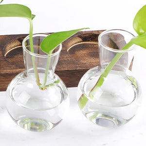 Hydroponic Plants Container Plant Glass Test Tube Terrariums Vase in Wooden Stand Flower Pots Hydroponic Plants Test Tube Vase