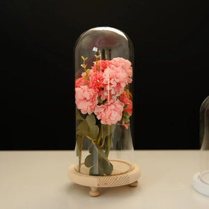 Terrarium Container Decor Tabletop Display Glass Cover Dry Flower Ornaments Craft Bell Jar Wood Base with Feet LED Light Holder