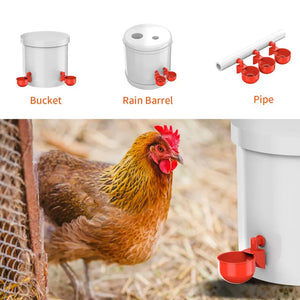 Chicken Water Feeder Automatic Filling Waterer Poultry Drinking Bowl For Chick Ducks Birds Turkeys Etc 12pcs Large Cups