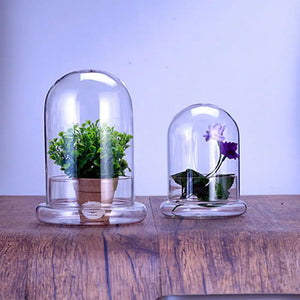 Micro Landscape Vase Hydroponic Terrarium Jar Glass Lid Multipurpose Dome Cover Moss Bottle Base Florarium