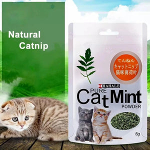 Natural Premium Catnip Cattle Grass Interactive Cat Non-toxic 5g Menthol Flavor Funny Cat Supplies Keep Pet Health Cat Toy