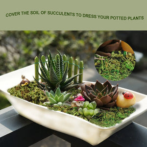 Fake Moss Artificial Fresh Green Moss Coco Coir for Wedding Centerpieces Garden Terrariums Decoration