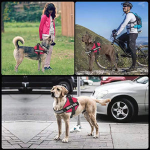 Personalized Dog Harness NO PULL Reflective Breathable Pet Harness Vest For Small Large Dog Outdoor Walk Training Accessories