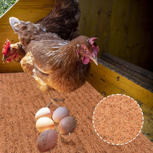 6pcs Chicken Nest Box Liners Chicken Coop Bedding Chicken Bedding Nest Liners Poultry Supplies Wooden Laying Hen Nesting Pads