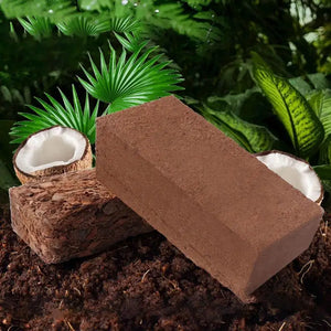 Natural Coconut Soil Coconut Fiber Substrate Lizard Turtle Reptile Bedding Terrarium Bottom Supplies