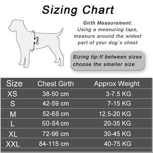 Personalized Dog Harness NO PULL Reflective Breathable Pet Harness Vest For Small Large Dog Outdoor Walk Training Accessories