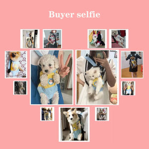 Breathable Pet Carrier Bags,Outdoor Travel,Small Dog,Cat Backpack,Fashion Durable Mesh,Transport,Small cute pet fashion backpack