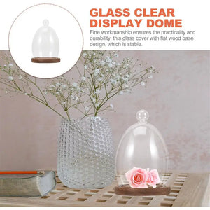 Flower Glass Cover Terrarium Decor Micro Landscape Glass Dome Preserved Flower Glass Bell Jar Wooden Clear Glass Display Dome